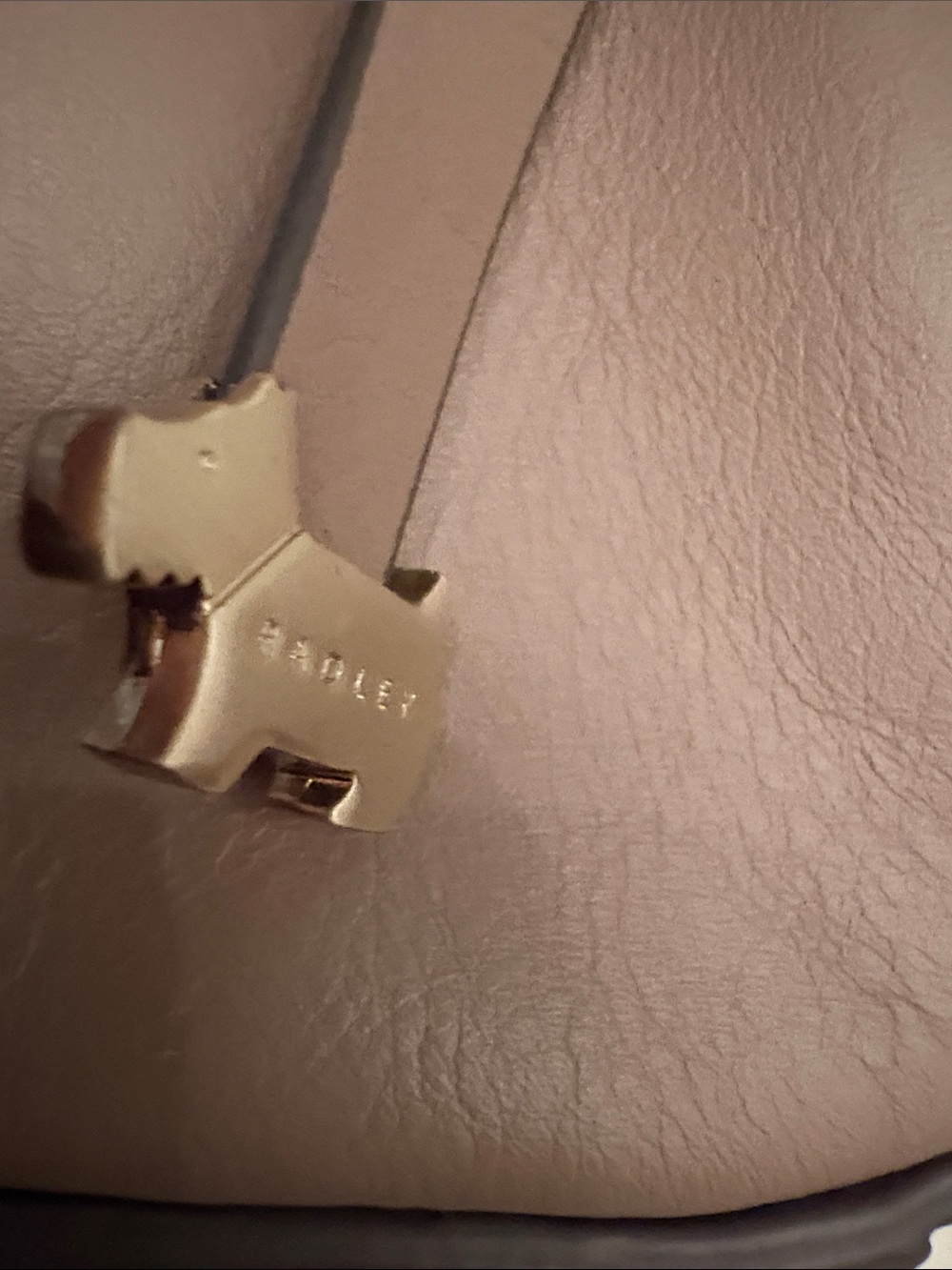 RADLEY LONDON Taupe Leather Crossbody Bag Purse BRS - Picture 6 of 9